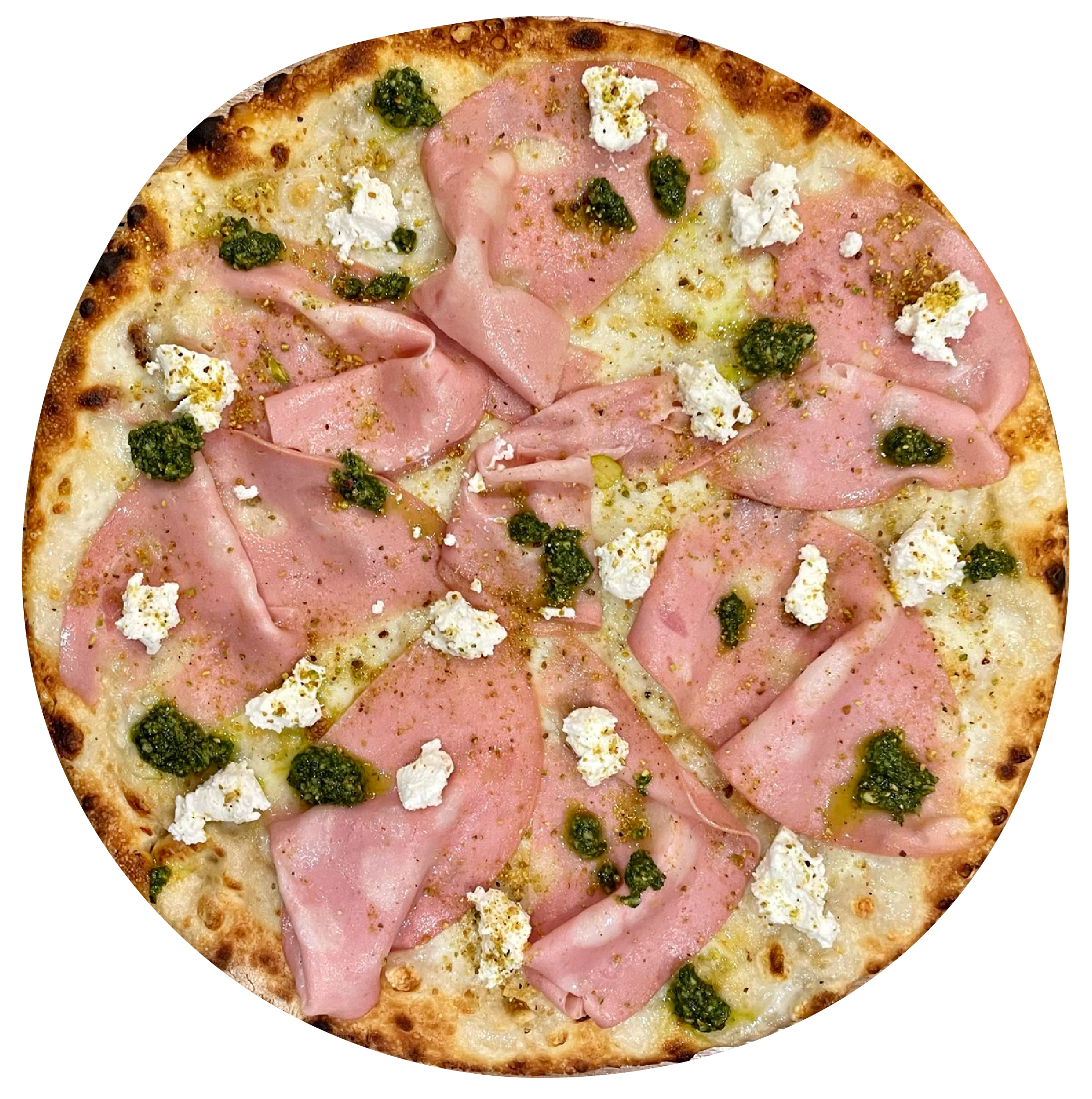 FALCO - Gallery Pizza Bangkok